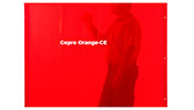 Сварочная шторка CEPRO Orange-CE 180х220см
